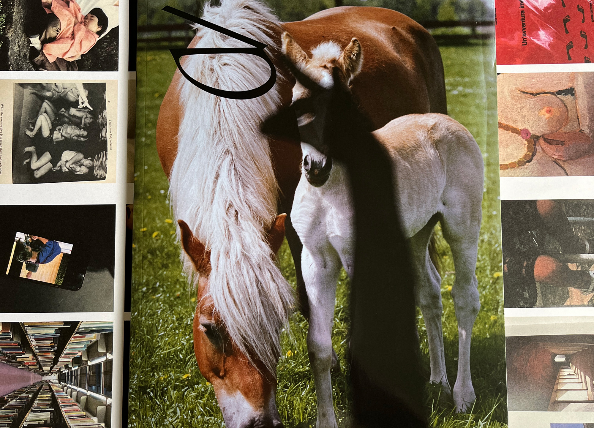 1枚の写真から紡がれるストーリー、Bill Magazine